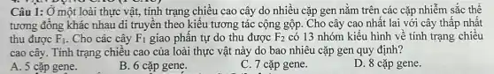 Câu 1: Ở một loài thực vật, tính trạng chiều cao cây do nhiều cặp gen nǎm trên các cặp nhiễm sắc thể
tương đông khác nhau di truyền theo kiểu tương tác cộng gộp . Cho cây cao nhất lai với cây thấp nhất
thu được F_(1) . Cho các cây F_(1) giao phân tự do thu được F_(2) có 13 nhóm kiểu hình về tính trạng chiều
cao cây. Tính trạng chiều cao của loài thực vật này do bao nhiêu cặp gen quy định?
A. 5 cặp gene.
B. 6 cặp gene.
C. 7 cặp gene.
D. 8 cặp gene.