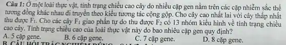 Câu 1: Ở một loài thực vật, tính trạng chiều cao cây do nhiều cặp gen nǎm trên các cặp nhiễm sắc thể
tương đông khác nhau di truyền theo kiểu tương tác cộng gộp . Cho cây cao nhất lai với cây thấp nhất
thu được F_(1) Cho các cây F_(1) giao phần tự do thu được F_(2) có 13 nhóm kiểu hình về tính trạng chiều
cao cây. Tính trạng chiêu cao của loài thực vật này do bao nhiêu cặp gen quy định?
A. 5 cặp gene.
B. CÂU HỎI TP
B. 6 cặp gene.
C. 7 cặp gene.
D. 8 cặp gene.