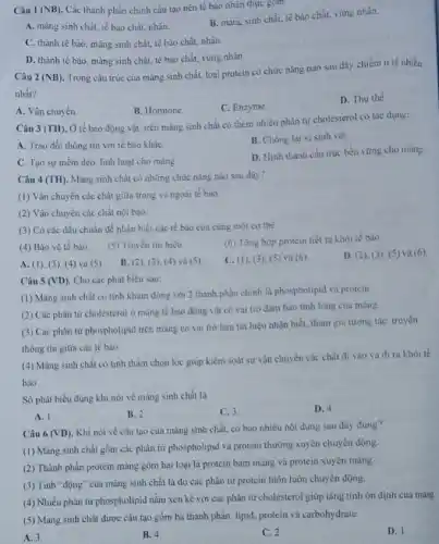 Câu 1 (NB) Các thành phần chính cấu tạo nên tê bào nhân thực gồm.
A. màng sinh chất tế bào chất, nhân.
B. màng sinh chất.tế bào chất. vùng nhân.
C. thành tế bào màng sinh chất, tế bào chất, nhân.
D. thành tế bào màng sinh chất, tế bào chất, vùng nhân.
Câu 2 (NB)
Trong cấu trúc của màng sinh chất, loại protein có chức nǎng nào sau đây chiếm tỉ lệ nhiều
nhất?
C. Enzyme
D. Thu the.
A. Vận chuyến.
B. Hormone
Câu 3 (TH). Ở tế bào động vật, trên màng sinh chất có thêm nhiều phân tử cholesterol có tác dụng:
A. Trao đôi thông tin với tế bào kháC.
B. Chống lại vi sinh vật.
C. Tạo sự mềm dèo. linh hoạt cho màng
D. Hinh thành cấu trúc bền vững cho màng.
Câu 4 (TH). Màng sinh chất có những chức nǎng nào sau đây?
(1) Vận chuyên các chất giữa trong và ngoài tế bào.
(2) Vận chuyển các chất nội bào.
(3) Có các dấu chuẩn để nhận biết các tế bào của cùng một cơ thể.
(4) Bảo vệ tế bảo.
(5) Truyền tín hiệu.
(6) Tổng hợp protein tiết ra khỏi tế bào
A. (1), (3), (4)và (5).
B. (2), (3 ). (4) và (5)
C. (1), (3)(5) và (6)
D. (2)(3),5) và (6).
Câu 5 (VD). Cho các phát biểu sau:
(1) Màng sinh chất có tính khảm động với 2 thành phần chính là phospholipid và protein
(2) Các phân tử cholesterol ở màng tế bào động vật có vai trò đàm bào tính lòng của màng.
(3) Các phân từ phospholipid trên mảng có vai trò làm tin hiệu nhận biết, tham gia tương tác, truyền
thông tin giữa các tế bào
(4) Màng sinh chất có tinh thẩm chọn lọc giúp kiểm soát sự vận chuyên các chất đi vào và đi ra khói tê
bào
Số phát biểu đúng khi nói về màng sinh chất là
D. 4
A. 1
B. 2
C.3
Câu 6 (VD)
Khi nói về cấu tạo của màng sinh chất, có bao nhiêu nội dung sau đây đúng?
(1) Màng sinh chất gồm các phân tử phospholipid và protein thường xuyên chuyển động.
(2) Thành phần protein màng gồm hai loại là protein bám màng và protein xuyên mảng.
(3) Tinh "động" của màng sinh chất là do các phân tử protein luôn luôn chuyển động.
(4) Nhiều phân từ phospholipid nằm xen kề với các phân tử cholesterol giúp tǎng tính ổn định của màng.
(5) Màng sinh chất được cấu tạo gồm ba thành phần: lipid protein và carbohydrate.
A. 3
B. 4
C. 2
D. 1