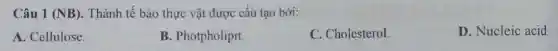 Câu 1 (NB). Thành tế bào thực vật được cấu tạo bởi:
A. Cellulose.
B. Photpholipit.
C. Cholesterol.
D. Nucleic acid.