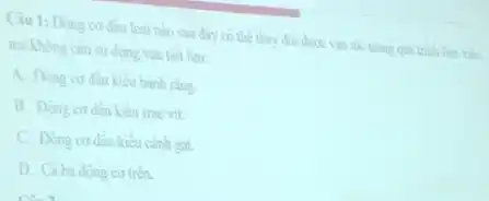 Câu 1: Đồng co đầu loại nào sau đáy có thể thay đổi được vận tốc trong quá trình làm việc
mà khong can sir dung van tiet liru:
kiêu bánh rằng.
true vit
kiều canh gat
D. Cá ba dong co trên.