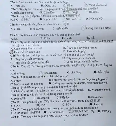 Câu 1: Sinh vật nào sau đây là sinh vật tự dưỡng?
A. Thực vật.
C. Nấm.
D. Vi khuẩn lactid.
B. Động vật.
Câu 2: Rễ cây hấp thụ nước từ ngoài vào trong rê theo cơ chế nào sau đây?
A. Biến dạng màng.
B. Chủ động.
C. Thụ động
D. Hoạt tài.
Câu 3: Cây trông hấp thụ nitrogen trong đất dưới dạng nào?
D. NO_(2) và NO_(3)^-
(A. NO_(3)^- và NH_(4)^+
B. N_(2) và NH_(4)^+
C. NO_(2) và NH_(4)^+
Câu 4: Hướng vận chuyển chủ yếu của mạch rây là
A. đi lên.
B. đi xuống.
C. ngẫu nhiên.
(D.)không xác định đượC.
Câu 5: Cây trên cạn hấp thụ nước chủ yếu qua bộ phận nào?
(D. Rễ.
A. Lá.
B. Thân.
C. Cành.
Câu 6: Người ta ứng dụng hiểu biết của nhân tố ánh sáng đến trao đổi nước và khoáng ở
thực vật vào thực tiễn là:
-A. Gieo trồng đúng mật độ.
B. Uấm gốc cây bằng rơm rạ.
(C) Hạn chế cây ngập úng.
D. Tưới tiêu hợp lý.
Câu 7: Việc bón quá ít phân bón sẽ dẫn đến triệu chứng gì ở cây trồng?
A. Tǎng nǎng suât cây trông.
B. Cây còi cọc và chậm lớn.
C. Tǎng sinh vật có lợi trong đất.
D. Ô nhiễm đât và nước ngâm.
Câu 8: Nồng độ Ca^2+ trong cây là 0,3% , trong đất là 0,1%  Cây sẽ nhận Ca^2+ bằng cơ
chê
D. thẩm thấu.
A. thụ động.
B. khuếch tán.
C. chủ động.
Câu 9: Dịch mạch rây có thành phân chủ yếu là?
A. NướC.
B. Nước và một số chất hữu cơ được tổng hợp ở re
C. Nước và các ion khoáng
D. Đường saccarozo, acid amin, hoocmon thực vật.
Câu 10: Nơi diên ra pha sáng của quang hợp ở thực vật?
D. Màng thylakoid.
A. Chất nền lục lạp. (B.) Màng trong ti thể. C. Chất nền ti thê.
Câu 11: Ở thực vật, sắc tổ chính trong quang hợp là
A. Phicobilin.
B. Xantophin.
C. Diệp lụC.
D.Carotene
Câu 12: Sản phẩm cố định CO_(2) đầu tiên của thực vật C_(4) trong pha tôi là gi?
D. Tinh bột.
A. OAA
B. MA.
C. PGA
Câu 13: Trong pha hợp, sản phẩm được tạo ra là gì?
D. ATP, O_(2)
A. ATP, RuBP, NADPH B. Carbohidrate.
C. ATP, NADPH, O_(2)
Câu 14: Trong quá trình quang hợp, oxygen được sinh ra từ đâu?