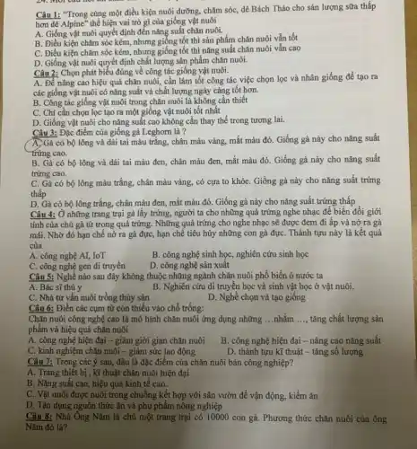 Câu 1: "Trong cùng một điều kiện nuôi dưỡng, chǎm sóc, dê Bách Thảo cho sản lượng sữa thấp
hơn dê Alpine" thể hiện vai trò gì của giống vật nuôi
A. Giống vật nuôi quyết định đến nǎng suất chǎn nuôi.
B. Điều kiện chǎm sóc kém, nhưng giống tốt thì sản phẩm chǎn nuôi vẫn tốt
C. Điều kiện chǎm sóc kém, nhưng giống tốt thì nǎng suất chǎn nuôi vẫn cao
D. Giống vật nuôi quyết định chất lượng sản phẩm chǎn nuôi.
Câu 2: Chọn phát biểu đúng về công tác giống vật nuôi.
A. Đề nâng cao hiệu quả chǎn nuôi,cần làm tốt công tác việc chọn lọc và nhân giống để tạo ra
các giống vật nuôi có nǎng suất và chất lượng ngày càng tốt hơn.
B. Công tác giống vật nuôi trong chǎn nuôi là không cân thiết
C. Chỉ cân chọn lọc tạo ra một giống vật nuôi tốt nhất
D. Giống vật nuôi cho nǎng suất cao không cần thay thế trong tương lai.
Câu 3: Đặc điểm của giống gà Leghorn là ?
A. Gà có bộ lông và dái tai màu trǎng, chân màu vàng, mắt màu đỏ Giống gà này cho nǎng suất
trứng cao.
B. Gà có bộ lông và dái tai màu đen, chân màu đen, mắt màu đỏ . Giống gà này cho nǎng suất
trứng cao.
C. Gà có bộ lông màu trắng, chân màu vàng, có cựa to khỏe. Giống gà này cho nǎng suất trứng
thâp
D. Gà có bộ lông trắng, chân màu đen , mắt màu đỏ. Giống gà này cho nǎng suất trứng thấp
Câu 4: Ở những trang trại gà lấy trứng, người ta cho những quả trứng nghe nhạc để biến đổi giới
tính của chú gà từ trong quả trứng , Những quả trứng cho nghe nhạc sẽ được đem đi âp và nở ra gà
mái. Nhờ đó hạn chế nở ra gà đực, hạn chế tiêu hủy những con gà đựC. Thành tựu này là kết quả
của
A. công nghệ AI,IoT
C. công nghệ gen di truyền
B. công nghệ sinh học, nghiên cứu sinh học
D. công nghệ sản xuât
Câu 5: Nghề nào sau đây không thuộc những ngành chǎn nuôi phổ biến ỏ nước ta
A. Bác sĩ thú y
B. Nghiên cứu di truyền học và sinh vật học ở vật nuôi.
C. Nhà tư vấn nuôi trồng thủy sản
D. Nghề chọn và tạo giống
Câu 6: Điền các cụm từ còn thiếu vào chỗ trống:
Chǎn nuôi công nghệ cao là mô hình chǎn nuôi ứng dụng những __ nhằm __ tǎng chất lượng sản
phẩm và hiệu quả chǎn nuôi
A. công nghệ hiện đại - giảm giời gian chǎn nuôi
B. công nghệ hiện đại - nâng cao nǎng suất
C. kinh nghiệm chǎn nuôi - giảm sức lao động
D. thành tựu kĩ thuật - tǎng sô lượng
Câu 7: Trong các ý sau, đâu là đặc điểm của chǎn nuôi bán công nghiệp?
A. Trang thiết bị , kĩ thuật chǎn nuôi hiện đại
B. Nǎng suất cao , hiệu quả kinh tế cao.
C. Vật nuôi được nuôi trong chuồng kết hợp với sân vườn đề vận động, kiếm ǎn
D. Tận dụng nguồn thức ǎn và phụ phẩm nông nghiệp
Câu 8: Nhà Ông Nǎm là chủ một trang trại có 10000 con gà. Phương thức chǎn nuôi của ông
Nǎm đó là?