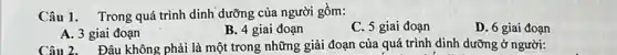 Câu 1. Trong quá trình dinh dưỡng của người gồm:
C. 5 giai đoạn
D. 6 giai đoạn
A. 3 giai đoạn
B. 4 giai đoạn
Câu 2. Đâu không phải là một trong những giải đoạn của quá trình dinh dưỡng ở người: