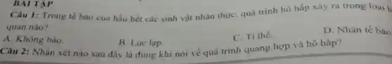 Câu 1: Trong tế bào của hầu hết các sinh vật nhân thực, quá trình hô hấp xảy ra trong loại b
quan nào?
D. Nhân tế bào
C. Ti thê.
BAI TAP
A. Không bào.
B. Lục lạp.
Câu 2: Nhận xét nào sau đây là đúng khi nói về quá trình quang hợp và hô hấp?