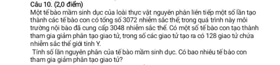 Câu 10. (2,0 điểm)
Một tế bào mầm sinh dục của loài thực vật nguyên phân liên tiếp một số lần tạo
thành các tế bào con có tổng số 3072 nhiễm sắc thể trong quá trình này môi
trường nội bào đã cung cấp 3048 nhiễm sắc thể. Có một số tế bào con tạo thành
tham gia giảm phân tạo giao tử, trong số các giao tử tạo ra có 128 giao tử chứa
nhiễm sắc thế giới tính Y.
Tính số lần nguyên phân của tế bào mầm sinh dục. Có bao nhiêu tế bào con
tham gia giảm phân tạo giao tử?