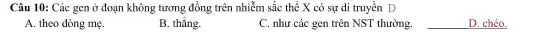 Câu 10 : Các gen ở đoạn không tương đồng trên nhiễm sắc thể X có sự di truyền D
A. theo dòng mẹ.
B. thǎng.
C. như các gen trên NST thường.
__