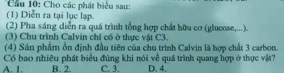 Cấu 10 : Cho các phát biểu sau:
(1) Diễn ra tại lục lạp.
(2) Pha sáng diễn ra quá trình tổng hợp chất hữu cơ (glucose __
(3) Chu trình Calvin chi có ở thực vật C3.
(4) Sản phâm ôn định đầu tiên của chu trình Calvin là hợp chất 3 carbon.
Có bao nhiêu phát biểu đúng khi nói về quá trình quang hợp ở thực vật?
A. 1.
B. 2.
C. 3.
D. 4.