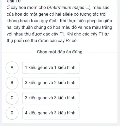 Câu 10
Ở cây hoa mõm chó (Antirrhinum majus L .), màu sắc
của hoa do một gene có hai allele có tương tác trội
không hoàn toàn quy định. Khi thực hiện phép lai giữa
hai cây thuần chủng có hoa màu đỏ và hoa màu trǎng
với nhau thu được các cây F1. Khi cho các cây F1 tư
thụ phấn sẽ thu được các cây F2 có:
Chọn một đáp án đúng
1 kiểu gene và 1 kiểu hình.
n
B 3 kiểu gene và 2 kiểu hình. B
C 3 kiểu gene và 3 kiểu hình. v
D 4 kiểu gene và 3 kiểu hình.