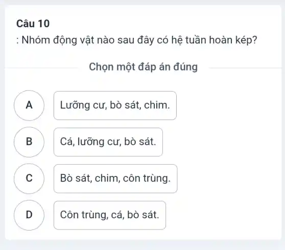 Câu 10
: Nhóm động vật nào sau đây có hệ tuần hoàn kép?
Chọn một đáp án đúng
)
Lưỡng cư, bò sát , chim.
B Cá, lưỡng cư, bò sát. B
C Bò sát, chim, côn trùng
v
D Côn trùng, cá, bò sát.