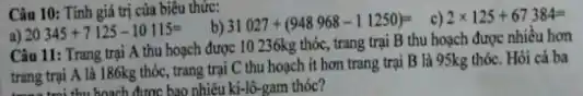 Câu 10: Tính giá trị của biểu thức:
b) 31027+(948968-11250)= c) 2times 125+67384=
a) 20345+7125-10115=
Câu 11: Trang trại A thu hoạch được 10 236kg thóc, trang trại B thu hoạch được nhiều hơn
trang trại A là 186kg thóc, trang trại C thu hoạch ít hơn trang trại B là 95kg thóc. Hỏi cả ba
trans trai thu boach được bao nhi ều ki-lô-gam thóc?