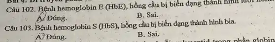 Câu 102. Bệnh hemoglobin E (HbE), hồng cầu bị biến dạng thành hình luôi mô
A. Đúng.
B. Sai.
Câu 103. Bệnh hemoglobin S(HbS)
, hồng cầu bị biến dạng thành hình bia.
A. Đúng.
B. Sai.