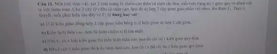 Câu 11. Một loài thực vật, xét 2 tính trạng là chiều cao thân và màu sắc hoa, mỗi tính trạng do 1 gene quy vi allele trội
là trội hoàn toàn Cho 2 cây (P) dều có thân cao.hoa đỏ dị hợp 2 cặp gene giao phần với nhau, thu được F_(1) Theo li
thuyết, mỗi phát biểu sau dây về F_(1) là đúng hay sai?
a) Tỉ lệ kiêu gene đồng hợp 2 cặp gene luôn bằng ti lệ kiểu gene di hợp 2 cặp gene.
b) Kiều hình thần cao, hoa do luôn chiếm ti lệ lớn nhất.
c) Nếu F_(1) có 4 loại kiểu gene thì kiểu hình thần cao, hoa đỏ chi có 1 kiểu gene quy định.
d) Nếu F_(1) có 3 kiểu gene thì kiểu hình thần cao hoa do có thể chi do 2 kiểu gene quy định.