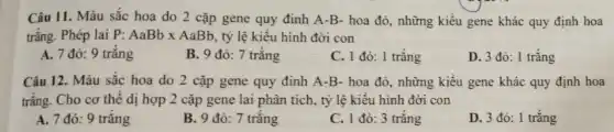 Câu 11. Màu sắc hoa do 2 cặp gene quy đinh A -B- hoa đỏ, những kiểu gene khác quy định hoa
trắng. Phép lai P:AaBbtimes AaBb , tỷ lệ kiểu hình đời con
A. 7 đỏ: 9 trǎng
B. 9 đó: 7 trǎng
C. 1 đỏ: 1 trǎng
D. 3 đó: 1 trắng
Câu 12. Màu sắc hoa do 2 cặp gene quy đinh A-B - hoa đỏ, những kiểu gene khác quy định hoa
trắng. Cho cơ thể dị hợp 2 cặp gene lai phân tích , tỷ lệ kiêu hình đời con
A. 7 đỏ: 9 trǎng
B. 9 đỏ: 7 trǎng
C. 1 đỏ: 3 trǎng
D. 3 đò: 1 trắng