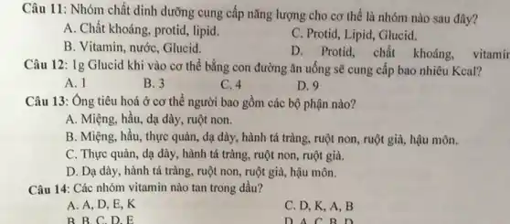 Câu 11: Nhóm chất dinh dưỡng cung cấp nǎng lượng cho cơ thể là nhóm nào sau đây?
A. Chất khoáng, protid , lipid.
C. Protid, Lipid, Glucid.
B. Vitamin, nước, Glucid.
D. Protid, chất khoáng, vitamir
Câu 12: Ig Glucid khi vào cơ thể bằng con đường ǎn uống sẽ cung cấp bao nhiêu Kcal?
A. 1
B. 3
C. 4
D. 9
Câu 13: Ông tiêu hoá ở cơ thể người bao gồm các bộ phận nào?
A. Miệng, hầu, dạ dày, ruột non.
B. Miệng, hầu, thực quản, dạ dày, hành tá tràng, ruột non , ruột già, hậu môn.
C. Thực quản, dạ dày, hành tá tràng , ruột non, ruột già.
D. Dạ dày, hành tá tràng, ruột non , ruột già, hậu môn.
Câu 14: Các nhóm vitamin nào tan trong dầu?
A. A, D, E , K
C. D, K, A . B
B B C D . E
D A C B D