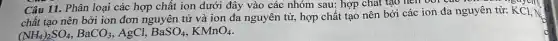 Câu 11. Phân loại các hợp chất ion dưới đây vào các nhóm sau: hợp chất tạo nên với các
chất tạo nên bởi ion đơn nguyên tử và ion đa nguyên tử, hợp chất tạo nên bởi các ion đa nguyên tử: KCl, N.
(NH_(4))_(2)SO_(4),BaCO_(3) , AgCl, BaSO_(4),KMnO_(4)