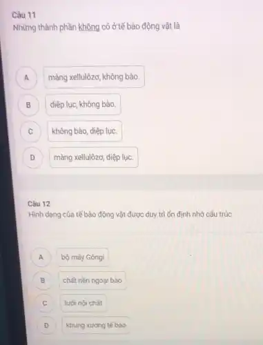 Câu 11
Những thành phần không có ở tế bào động vật là
)
màng xellulôzơ, không bào.
B diệp lục, không bào.
C C
không bào, diệp lục.
D màng xellulôzơ, diệp lục. D
Câu 12
Hình dạng của tế bào động vật được duy trì ổn định nhờ cấu trúc
A ) bộ máy Gôngi
B ) chất nền ngoại bào
C lưới nội chất
C
D D
khung xương tế bào