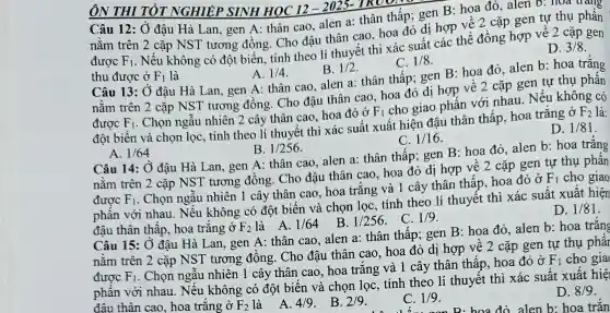 Câu 12: Ở đậu Hà Lan, gen A thân cao, alen a:thân thấp; gen B : hoa đỏ, alen b : hóa trang
nǎm trên 2 cặp NST tương đồng . Cho đậu thân cao hoa đỏ dị hợp về 2 cặp gen tự thụ phấn
được F_(1)
. Nếu không có đột biến, tính theo lí thuyết thì xác suất các thể đồng hợp về 2 cặp gen
thu được ở
D. 3/8
C. 1/8
F_(1) là	A. 1/4	B. 1/2
Câu 13: Ở đậu Hà Lan, gen A:thân cao, alen a:thân thấp; gen B hoa đỏ, alen b hoa trǎng
nằm trên 2 cặp NST tương đồng . Cho đậu thân cao hoa đỏ dị hợp về 2 cặp gen tự thụ phân
được F_(1)
. Chọn ngẫu nhiên 2 cây thân cao, hoa đỏ ở
F_(1)
cho giao phấn với nhau. Nếu không có
đột biến và chọn lọc, tính theo lí thuyết thì xác suất xuất hiện đậu thân thấp, hoa trắng ở
F_(2) là:
D. 1/81
A. 1/64
B. 1/256
C. 1/16
Câu 14: Ở đậu Hà Lan, gen A:thân cao, alen a:thân thấp; gen B hoa đỏ, alen b:hoa trǎng
nằm trên 2 cặp NST tương đông . Cho đậu thân cao . hoa đỏ dị hợp về 2 cặp gen tự thụ phân
được F_(1)
. Chọn ngẫu nhiên 1 cây thân cao . hoa trắng và 1 cây thân thấp hoa đỏ ở
F_(1) cho giao
phần với nhau . Nếu không có đột biến và chọn lọc tính theo lí thuyết thì xác suất xuất hiện
đậu thân thấp, hoa trǎng ở F_(2) là A.
D. 1/81
. C. 1/9
1/64
B. 1/256
Câu 15: 0 đậu Hà Lan, gen A:thân cao, alen a thân thấp; gen B : hoa đỏ, alen b:hoa trǎng
nằm trên 2 cặp NST tương đông . Cho đậu thân cao . hoa đỏ dị hợp về 2 cặp gen tự thụ phân
được F_(1)
. Chọn ngẫu nhiên 1 cây thân cao , hoa trắng và 1 cây thân thấp hoa đỏ ở
F_(1) cho gia
phần với nhau . Nếu không có đột biến và chọn lọc . tính theo lí thuyết thì xác suất xuất hiệ
D. 8/9
hoa đỏ alen b:hoa trǎn
đâu thân cao, hoa trǎng ở F_(2) là A.
4/9
. B. 2/9
C. 1/9