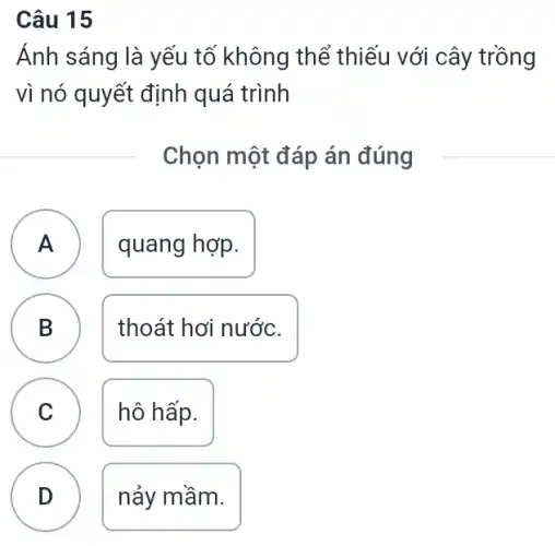 Câu 15
Ánh sáng là yếu tố không thể thiếu với cây trồng
vì nó quyết định quá trình
Chọn một đáp án đúng
A quang hợp.
B
thoát hơi nước.
A
n
C
hô hấp.
D
nảy mầm.