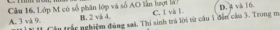 Câu 16. Lớp M có số phân lớp và số AO lần lượt là?
A. 3 và 9.
B. 2 và 4.
C. 1 và 1.
D. 4 và 16.
n trắc nghiệm đúng sai.Thí sinh trả lời từ câu 1 đến câu 3. Trong m