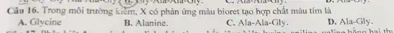 Câu 16. Trong môi trường kiểm, X có phản ứng màu bioret tạo hợp chất màu tím là
A. Glycine
B. Alanine.
C Ala-Ala-Gly
D. Ala-Gly.