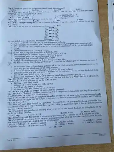 Câu 16. Trong tế bào, phân tử nào sau đây mang bộ ba đối ma đặc hiệu (anticodon)?
C. mRNA.
A. tRNA
B rRNA.
Câu 17. Trên mạch I của một đoạn phân từ DNA có trình tự nucleotide: 3'
D. DNA.
__ TACAGCGTC ATG __ S' thi trinh tự nucleotide
tương ứng ở mạch 2 của đoạn phân tử DNA đó là:
A. 3'ldots AUGUCGCAGUACldots 5
B. 5 __	GCAG TAC __ 3'.
D. S'... AUGUCG CAGU AC 3". __
__
3'ldots ATGTCGCAGTACldots 5
Câu 18. Theo II thuyết, cơ thể có kiểu gene nào sau đây tạo ra giao từ Ab với ti lệ 25%?
B. AaBb.	C. Aabb.
A. AaBB.
D. AABb.
II. Câu trắc nghiệm đúng sai. Thí sinh trả lời từ câu 1 đến câu 4. Trong mỗi ý a), b), c), d) ở mỗi câu,thi sinh chon
đúng hoặc sai.
Câu I. Hinh vẽ sau đây mô tả cấu tạo không gian một đoạn của phân từ DNA:
mom
(B)
IDI III
mrn
Hãy quan sát hinh và cho biết mỗi nhận định sau đây là ĐÚNG hay SAI?
a) Phân từ này là DNA, có 2 mạch xoắn kép, song song và ngược chiều nhau
Sacute (hat (o))(1)
chỉ cấu tạo của nucleotide C gồm 3 thành phần:base nitrogenous C, đường deoxyribose và nhóm phosphate.
c) Sacute (hat (o))(3)
là liên kết bền vững.giúp phân từ này duy tri cấu trúc ổn định qua thời gian dài, số (2) là liên kết hydrogen
d) Chiều dài của đoạn phân tử DNA này là 13,6 nm.
Câu 2. Các nhận định về công nghệ gene dưới đây là ĐÚNG hay SAI?
a) Restrictase và ligase là 2 loại enzyme được sử dụng để tạo DNA tái tổ hợp.
b) Công nghệ gene không được áp dụng ở con người vi vấn đề đạo đứC.
c) Công nghệ gene được áp dụng để chữa các bệnh di truyền.
d) Động vật biển đôi gene được sử dụng để sản xuất các protein dược phẩm.
Câu 3. Phát biểu nào sau đây đủng (Đ)hoặc sai (S) khi nói về cơ chế điều hòa biểu hiện gene của operon lac ở vi khuẩn E.
coli?
a) Khi môi trường không có đường lactose, protein ức chế lacl liên kết với operator
(O) khiến enzyme RNA polymerase
không trượt qua được nên các gene cấu trúc không hoạt động.
b) Protein ức chế lạcl chỉ được gene điều hòa lạcl tổng hợp khi môi trường có lactose.
c) Lactose là chất cảm ứng, đồng phân của nó là allolactose liên kết với protein ức chế lacI làm thay đổi cấu hình không
gian dẫn đến không liên kết được với operator
(O)
d) Enzyme RNA polymerase có thể liên kết với operator
và tiến hành phiên mã các gene cấu trúC.
Câu 4.Cho biết mỗi gene quy định 1 tính trạng, trội lặn hoàn toàn Tiến hành phép lai
3AaBbCCDdEEtimes ?aaBbccDdEE,
thu được Fi. Theo lí thuyết, mỗi phát biểu sau đây ĐÚNG hay SAI?
a) Đời Fi có 64 kiểu tổ hợp giao từ.
b) Kiểu hình trội về tất cả các tính trạng chiếm tỉ lệ
9/32
F_(1) có 10 loại kiểu hình và 36 kiểu gene.
d) Có4 kiểu gene quy định kiểu hình trội về cả 5 tính trạng.
PHÀN III. Câu trắc nghiệm trả lời ngắn Thí sinh trả lời từ câu 1 đến câu 6.
Câu I. Một phân từ DNA mạch kép có 600 nucleotide loại C và số lượng nucleotide loại A chiếm
20%  tổng số nucleotide của
DNA. Phân tử DNA này có bao nhiêu liên kết hydrogen?
Câu 2. Ở 1 loài thực vật.cho lai hai cây lưỡng bội với nhau được các hợp từ F1. Một trong các hợp từ này nguyên phân liên tiếp
4 đợt. Ở kì giữa cùa lần nguyên phân thứ tư,người ta đếm được trong tất cả các tế bào con có 336 chromatid. Số NST có trong
hợp từ này là bao nhiêu?
Câu 3. Quan sát 1 nhóm tế bào sinh tinh của 1 cơ thể ruồi giấm có bộ NST
2n=8 giảm phân bình thường người ta đếm được
trong tất cả các tế bào này có tổng số 128 NST kép đang phân li về hai cực của tế bào. Số giao từ được tạo ra sau khi quá trình
giảm phân kết thúc là bao nhiêu?
Câu 4. Cho biết mỗi gene quy định một tính trạng, allele trội là trội hoàn toàn. Theo lí thuyết, có bao nhiêu phép lai sau đây
cho đời con có 2 loại kiểu hình?
III. aaBbtimes aaBb.
IV. AABbtimes AaBb.
1. AaBb X aabb.
aaBbtimes AaBB
Câu 5. Số chuỗi polypeptide được tạo thành từ một cấu trúc polynucleosome gồm 11 ribosome sau mỗi lần dịch mã là bao nhiêu?
Câu 6. Cho biết mỗi cặp tính trạng do một cặp gene quy định và các allele trội là trội hoàn toàn.Theo lí thuyết, có bao nhiêu
phép lai sau đây thu được
F_(1)
có 4 loại kiểu hình với tỉ lệ bằng nhau?
IV.AabbDtimes AabbDd.
.aaBbDdtimes AaBBdd.
AAbbDdtimes aaBbdd.
III.AaBbDDtimes aaBbDd.
AaBbDdtimes aabbDd. VI. aaBbDDtimes aabbDd.
VII.AABbddtimes AabbDd.
VIII.AABbDdtimes Aabbdd.
... HETldots ldots ldots