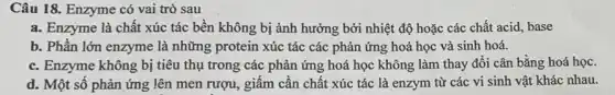 Câu 18. Enzyme có vai trò sau
a. Enzyme là chất xúc tác bền không bị ảnh hưởng bởi nhiệt độ hoặc các chất acid, base
b. Phần lớn enzyme là những protein xúc tác các phản ứng hoá học và sinh hoá.
c. Enzyme không bị tiêu thụ trong các phản ứng hoá học không làm thay đổi cân bằng hoá học.
d. Một số phản ứng lên men rượu,giấm cần chất xúc tác là enzym từ các vi sinh vật khác nhau.