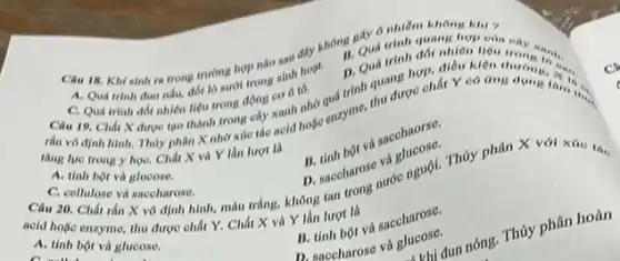 Câu 18. Khisinh ra trong trường hợp nào sau đây không Qud trinh quang hop con
A. Qua trinh dun nấu, đốt lò sưới trong sinh hoat.
trình đốt nhiên liệu trong
C. Quá trinh đói nhiên liệu trong động cơ ô 16.
Câu 19. Chirx được tạo thành trong cây xanh nhớ quá trình quang hợp, điều kiện
rắn vô định hình Thủy phân X nhờ xúc tác aold hoặc enzyme, thu được chất
D.
thing luro trongy họC. Chất X và Y lần lượt là
A. tinh bột và glucose.
B. tinh bot và sacchaorse.
Collulose và saccharose.
X vô định hình,màu trắng, không tan trong nước nguội. Thủy phân X với xúc the
D. saccharose và
acid hole enzyme, thu được chất Y. Chất X và Y lần lượt là
A. tinh bột và glucose.
B. tinh bột và saccharose.
D. anccharose và glucose.
and dun nóng. Thủy phân hoàn