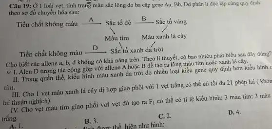 Câu 19: Ở 1 loài vẹt, tính trạng màu sắc lông do ba cặp gene Aa , Bb, Dd phân li độc lập cùng quy định
theo sơ đồ chuyển hóa sau:
Tiền chất không màu
__ Sắc tố đỏ -
__ Sắc tố vàng
Màu tím Màu xanh lá cây
Tiền chất không màu
__ Sắc tố xanh da trời
Cho biết các allene a, b, d không có khả nǎng trên . Theo lí thuyết, có bao nhiêu phát biểu sau đây đúng?
v I. Alen D tương tác cộng gộp với allene A hoặc B đê tạo ra lông màu tím hoặc xanh lá cây.
II. Trong quần thể kiểu hình màu xanh da trời do nhiêu loại kiểu gene quy định hơn kiểu hình r
tím.
III. Cho 1 vẹt màu xanh lá cây dị hợp giao phối với 1 vẹt trắng có thể có tối đa 21 phép lai ( khôn
lai thuận nghịch)
IV. Cho vẹt màu tím giao phối với vẹt đỏ tạo ra
F_(1)
có thể có tỉ lệ kiểu hình: 3 màu tím: 3 màu
trắng.
D. 4.
A. 1.
B. 3.
: đình được thể hiện như hình:
C. 2.