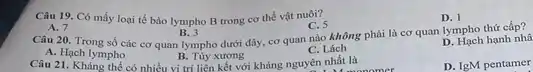 Câu 19. Có mấy loại tế bào lympho B trong cơ thể vật nuôi?
D. 1
A. 7
B. 3 Câu 20. Trong số các cơ quan lympho dưới đây, cơ quan nào không phải là cơ quan lympho thứ cấp?
C. 5
A. Hạch lympho	B. Tùy xương
C. Lách
D. Hach hạnh nhâ
Câu 21. Kháng thể có nhiều vi trí liên kết với kháng nguyên I like
D. IgM pentamer