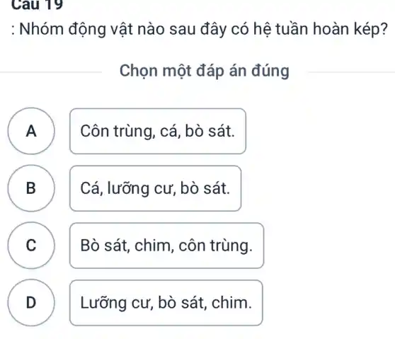 Câu 19
A
: Nhóm động vật nào sau đây có hệ tuần hoàn kép?
Chọn một đáp án đúng
A Côn trùng, cá, bò sát.
B Cá, lưỡng cư, bò sát. B
C Bò sát, chim , côn trùng.
D Lưỡng cư, bò sát, chim.