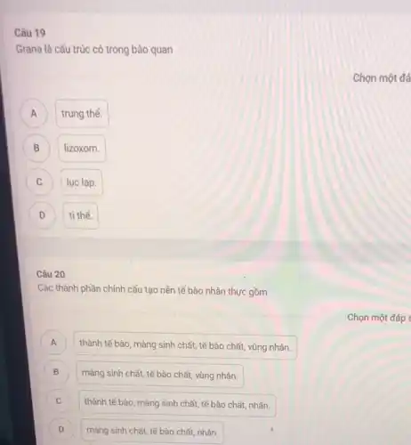 Câu 19
Grana là cấu trúc có trong bào quan
A A
trung thể.
B lizoxom. B
C C
lục lạp.
D D
ti thể.
Câu 20
Các thành phần chính cấu tạo nên tế bào nhân thực gồm
A )
thành tế bào, màng sinh chất, tế bào chất, vùng nhân.
B )
màng sinh chất, tế bào chất, vùng nhân.
C C
thành tế bào, màng sinh chất, tế bào chất, nhân.
D
màng sinh chất, tế bào chất, nhân.
Chọn một đáp