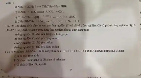 Câu 1:
a) NH_(3)+2CH_(3)-Brarrow CH_(3)CH_(2)-NH_(2)+2HBr
b) R-NH_(2)+H_(2)Oleftarrows R-NH_(3)^++OH^-
c) C_(6)H_(5)-NO_(2)+6[H]xrightarrow (Kc+HCl)C_(6)H_(5)-NH_(2)+2H_(2)O
CH_(3)-NH-CH_(3)+HNO_(2)arrow CH_(3)CH_(2)OH+N_(2)+H_(2)O
Câu 2: Cho dung dịch glycine vào các ống nghiệm (1) có pH=1 ; ống nghiệm (2) có pH=6 ; ống nghiệm (3) có
pH=12 Dung dịch glycine trong từng ống nghiệm tồn tại dưới dạng sau:
a) ống nghiệm (1)chủ yếu dạng ion lưỡng cực
b) ống nghiệm (3)chủ yếu dạng anion
c) ống nghiệm (2)chủ yêu cation
d) ống nghiệm (1)chủ yếu dạng cation
Câu 3: Một hợp chất hữu cơ X có công thức sau: H_(2)N-CH_(2)-CONH-CH(CH_(3))-CONH-CH(CH_(3))-COOH
a) X là một tripeptide
b) X được hình thành từ Glycine và Alanine
c) X chứa 3 liên kết peptide