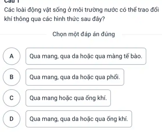 Câu 1
Các loài động vật sống ở môi trường nước có thể trao đổi
khí thông qua các hình thức sau đây?
Chọn một đáp án đúng
A Qua mang, qua da hoặc qua màng tế bào. A
B Qua mang, qua da hoặc qua phổi.
.
C Qua mang hoặc qua ống khí. v
D Qua mang, qua da hoặc qua ống khí.
.