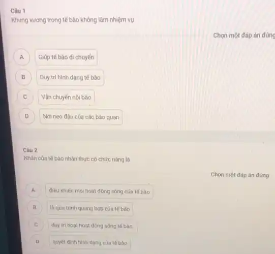 Câu 1
Khung xương trong tế bào không làm nhiệm vụ
A
Giúp tế bào di chuyến
B Duy trì hình dạng tế bào B
C Vận chuyển nội bào C
D Nơi neo đậu của các bào quan D
Câu 2
B
Nhân của tế bào nhân thực có chức nǎng là
A ) điều khiến mọi hoạt động sống của tế bào
B là qúa trình quang hợp của tế bào
C duy tri hoạt hoạt động sống tế bào. C
D ) quyết định hình dạng của tế bào
Chọn một đáp án đúng
Chọn một đáp án đúng
