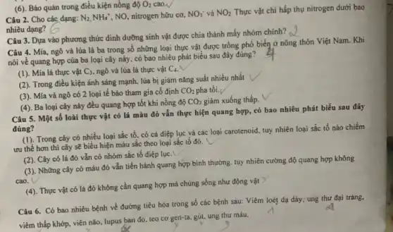 Câu 2. Cho các dạng: N_(2),NH_(4)^+ , NO, nitrogen hữu cơ, NO_(3)^- và NO_(2) Thực vật chi hấp thụ nitrogen dưới bao
nhiêu dạng?
(6). Bảo quản trong điều kiện nồng độ O_(2) cao.v
Câu 3. Dựa vào phương thức đinh dưỡng sinh vật được chia thành mấy nhóm chính?
__
Câu 4. Mia, ngô và lúa là ba trong số những loại thực vật được trồng phố biến ở nông thôn Việt Nam. Khi
nói về quang hợp của ba loại cây này, có bao nhiêu phát biểu sau đây đúng?
(1). Mia là thực vật C_(3) ngô và lúa là thực vật C4.
(2). Trong điều kiện ánh sáng mạnh. lúa bị giảm nǎng suất nhiều nhất
(3). Mía và ngô có 2 loại tế bào tham gia cố định
CO_(2) pha tôi.
(4). Ba loại cây này đều quang hợp tốt khi nồng độ
CO_(2) giảm xuống thấp.
Câu 5. Một sô loài thực vật có lá màu đỏ vẫn thực hiện quang hợp có bao nhiêu phát biểu sau đây
đúng?
(I). Trong cây có nhiều loại sắc tố. có cả diệp lục và các loại carotenoid, tuy nhiên loại sắc tố nào chiếm
ưu thế hơn thì cây sẽ biểu hiện màu sắc theo loại sắc tố đó.
(2). Cây có lá đỏ vẫn có nhóm sắc tố diệp lục.
(3). Những cây có màu đỏ vẫn tiến hành quang hợp bình thường tuy nhiên cường độ quang hợp không
cao.
(4). Thực vật có lá đỏ không cần quang hợp mà chúng sống như động vật
Câu 6. Có bao nhiêu bệnh về đường tiêu hóa trong số các bệnh sau: Viêm loét dạ dày, ung thư đại tràng,
viêm thấp khớp, viên não, lupus ban đỏ teo cơ gen-ta, gút ung thư máu.