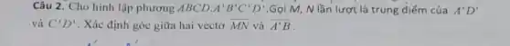 Câu 2. Cho hình lập phương ABCD. A'B'C'D' .Gọi M, N lần lượt là trung điểm của A'D'
và C'D' . Xác định góc giữa hai vectơ overrightarrow (MN) và overrightarrow (A'B)