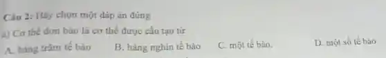 Câu 2: Hãy chọn một đáp án đúng
a) Cơ thể đơn bảo là cơ thể được câu tạo từ
D. một số tế bào
A. hàng trǎm tê bào
B. hàng nghìn tế bào
C. một tế bào.