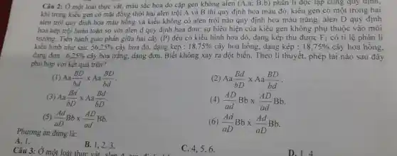 Câu 2: Ở một loài thực vật,màu sắc hoa do cặp gen không alen (A,a;B,b) phân li độc lạp cung quy định,
khi trong kiểu gen có mặt đồng thời hai alen trội A và B thi quy định hoa màu đỏ , kiểu gen có một trong hai
alen trội quy định hoa màu hông và kiểu không có alen trội nào quy định hoa màu trǎng;alen D quy định
hoa kép trội hoàn toàn so với alen d quy định hoa đơn; sự biêu hiện của kiểu gen không phụ thuộc vào môi
trường.Tiên hành giao phần giữa hai cây (P) đều có kiểu hình hoa đỏ , dạng kép thu được F_(1) có tỉ lê phân li
kiểu hình như sau: 56,25%  cây hoa đỏ, dạng kép : 18,75%  cây hoa hồng , dạng kép : 18,75%  cây hoa hông.
dạng đơn : 6,25%  cây hoa trǎng , dạng đơn . Biết không xảy ra đột biến Theo lí thuyết,, phép lai nào sau đây
phủ hợp với kết quả trên?
(1) Aa(BD)/(bd)times Aa(BD)/(bd)
(2) Aa(Bd)/(bD)times Aa(BD)/(bd)
(3) Aa(Bd)/(bD)times Aa(Bd)/(bD)
(4) (AD)/(ad)Bbtimes (AD)/(ad)Bb
(5) (Ad)/(aD)Bbtimes (AD)/(ad)Bb
Phương án đúng là:
(6) (Ad)/(aD)Bbtimes (Ad)/(aD)Bb
A. 1.
B. 1,2,3 .
Câu 3:Ở một loài thực vật alen
C. 4,5 , 6.
D. 1.4