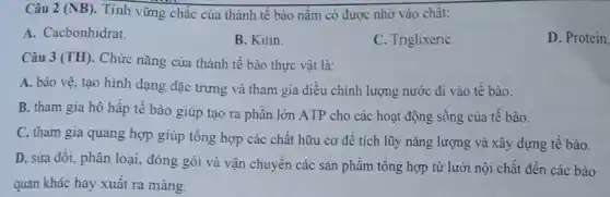 Câu 2 (NB) . Tính vững chắc của thành tế bào nấm có được nhờ vào chât:
A. Cacbonhidrat.
B. Kitin
C. TriglixeriC.
D. Protein.
Câu 3 (TH). Chức nǎng của thành tế bào thực vật là:
A. bào vệ, tạo hình dạng đặc trưng và tham gia điều chỉnh lượng nước đi vào tê bào.
B. tham gia hô hấp tế bào giúp tạo ra phân lớn ATP cho các hoạt động sống của tế bào.
C. tham gia quang hợp giúp tổng hợp các chất hữu cơ đê tích lũy nǎng lượng và xây dựng tê bào.
D. sửa đôi, phân loại, đóng gói và vận chuyển các sản phẩm tổng hợp từ lưới nội chất đến các bào
quan khác hay xuất ra màng.