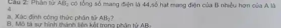 Câu 2: Phân tử AB_(2) có tổng số mang điện là 44,số hạt mang điện của B nhiều hơn của A là
4.
a, Xác định công thức phân tử AB_(2)
B, Mô tả sự hình thành liên kết trong phân tử AB_(2)