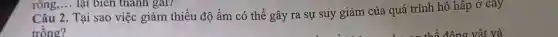 Câu 2. Tại sao việc giảm thiểu độ ẩm có thể gây ra sự suy giảm của quá trình hô hấp ở cay
trồng?
rông,... lại biên thanh gai?