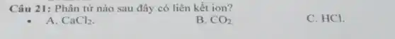 Câu 21: Phân tử nào sau đây có liên kết ion?
A. CaCl_(2)
B. CO_(2)
C. HCl.
