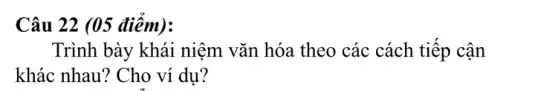Câu 22 (05 điểm):
Trình bày khái niệm vǎn hóa theo các cách tiếp cận
khác nhau? Cho ví dụ?