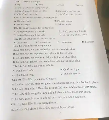 Câu 22: Quả mít gọi là quả
A. thit
B. nang
C. phức
D. mọng
Câu 23: Cây Cǎm xe là cây thân gỗ __
A. Cây gỗ trung bình cao 10-15m
B. Cây gỗ lớn cao 30-40m
c Chat (a)ygacute (hat (o))nhacute (o)caolt 8m
D. Cây gỗ nhỡ cao 15-20m
Câu 24: Tên khoa học của cây Phượng vĩ là:
A. Delonex regia
B. Delonex rezagia
C. Delinax regia
D. Delonox regia
Câu 25: Lá cây muồng đen có đặc điểm:
A. Lá kép lông chim 2 lần chẵn
B. Lá kép lông chim 1 lần lẻ
C. Lá kép lông chim 1 lần chẵn
D. Lá kép lông chim 2 lần lẻ
Câu 26: Họ Long não có tên khoa học là:
A. Lauraceae
B. Lauracaceae
C. Lauracaeae
D. Lauracea
Câu 27: Đặc điểm của lá cây Pơ mu:
A. Lá hình kim , mặt trên xanh thẫm , mặt dưới có phấn trắng.
B. Lá hình vảy dài, mặt trên xanh thẫm, mặt dưới có lông.
C. Lá hình kim , mặt trên xanh thẫm , mặt dưới có phần trắng.
D. Lá hình vảy dài, mặt trên xanh thẫm, mặt dưới có phấn trắng.
Câu 28: Đặc điểm của quả họ Dầu là:
A. Quả kín có móc
B. Quả kín có gai
C. Quả kín có lông
D. Quả kín có cánh
Câu 29: Đặc điểm của lá cây Kim giao
A. Lá đơn, nguyên,hình trứng dài, mọc đối hai bên cành làm thành mặt phẳng
B. Lá kép lông chim 1 lần chǎn , mọc đối hai bên cành làm thành mặt phǎng
C. Lá kép, hình trứng dài, mọc đối hai bên cành làm thành mặt phẳng
D. Lá đơn, dạng kim, mọc đối hai bên cành làm thành mặt phǎng
Câu 30: Đặc điểm lá cây Dáng Hương
A. Lá kép lông chim 1 lần chǎn , mọc cách, có lá kèm