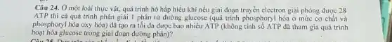 Câu 24. Ở một loài thực vật, quá trình hô hấp hiếu khí nếu giai đoạn truyền electron giải phóng được 28
ATP thì cả quá trình phân giải 1 phân tử đường glucose (quá trình phosphoryl hóa ở mức cơ chất và
phosphoryl hóa oxy hóa)đã tạo ra tối đa được bao nhiêu ATP (không tính số ATP đã tham gia quá trình
hoạt hóa glucose trong giai đoạn đường phân)?