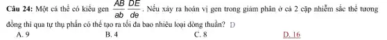 Câu 24:Một cá thể có kiểu gen (AB)/(ab)(DE)/(de) . Nếu xảy ra hoán vị gen trong giảm phân ở cả 2 cặp nhiễm sắc thể tương
đồng thì qua tự thụ phấn có thể tạo ra tôi đa bao nhiêu loại dòng thuần?D
A. 9
B. 4
C. 8
D. 16