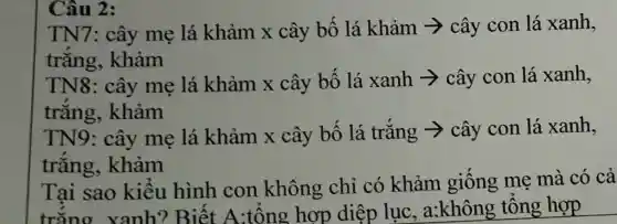 Câu 2:
TN7: cây mẹ lá khảm x cây bố lá khảm ­­­­→ cây con lá xanh,
trǎng . khảm
TN8: cây mẹ lá khảm x cây bố lá xanh ­­­­→ cây con lá xanh,
trǎng . khảm
TN9: cây me lá khảm x cây bố lá trǎng ­­­­→ cây con lá xanh,
trǎng , khảm
Tại sao kiểu hình con không chỉ có khảm giông mẹ mà có cả
trǎng xanh? Biết A:tông hợp diệp lục , a:không tổng hợp