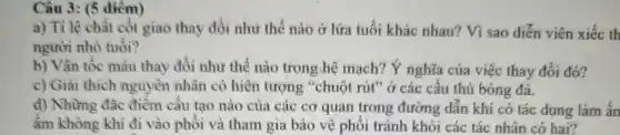 Câu 3: (5 điểm)
a) Tỉ lệ chất côt giao thay đổi như thế nào ở lứa tuổi khác nhau? Vì sao diễn viên xiếc th
người nhỏ tuổi?
b) Vận tốc máu thay đổi như thế nào trong hệ mạch? Ý nghĩa của việc thay đồi đó?
c) Giai thich nguyên nhân có hiện tượng "chuột rút" ở các câu thú bóng đá.
d) Những đặc điêm cấu tạo nào của các cơ quan trong đường dẫn khí có tác dụng làm án
âm không khi đi vào phôi và tham gia bảo vệ phối tránh khói các tác nhân có hai?