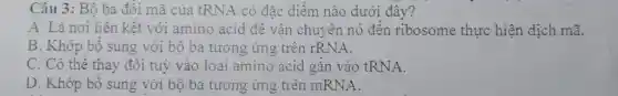 Câu 3 : Bộ ba đôi mã của tRNA có đặc điểm nào dưới đây?
A. Là nơi liên kết với amino acid đề vận chuyên nó đến ribosome thực hiện dịch mã.
B . Khớp bộ sung với bộ ba tương ứng trên rRNA.
C. Có thê thay đôi tuỳ vào loại amino acid gǎn vào tRNA.
D . Khớp bộ sung với bộ ba tương ứng trên mRNA.